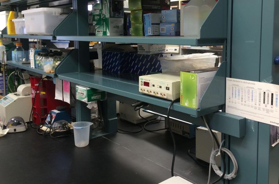 A research bench that has lots of empty shelf space and only a few research items on it.