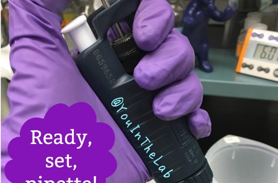 a person wearing purple latex gloves holding a pipette and the words ready, set, pipette