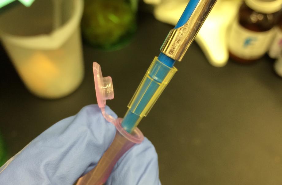 A gloved finger holding a microfuge tube and a pipette tip being placed in the tube